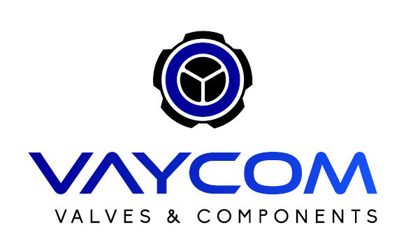 VAYCOM estrena su nueva web corporativa